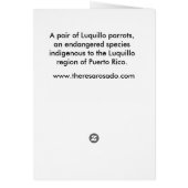 Luquillo Parrots Cards (Back)