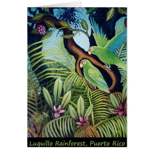 Luquillo Parrots Cards (Front)