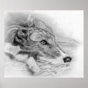 Lurcher Dog Portrait Poster