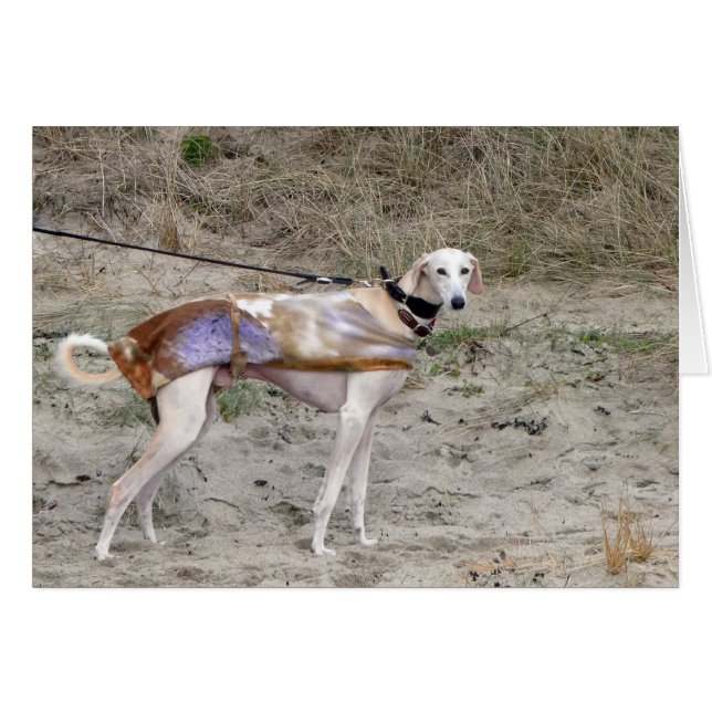 Lurcher photocard cards (Front Horizontal)