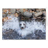 Lurcher Swimming Card (Front Horizontal)