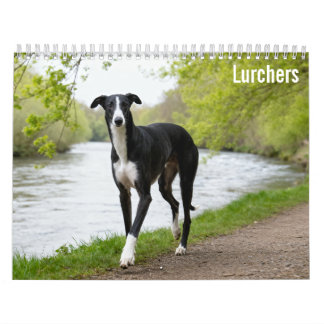 Lurchers 2027 Wall calendar