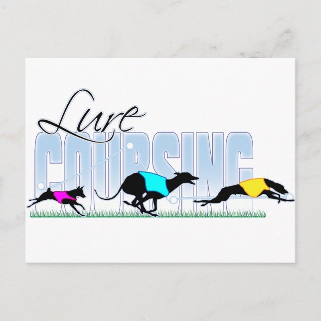 Lure Coursing Dogs Postcard (Front)