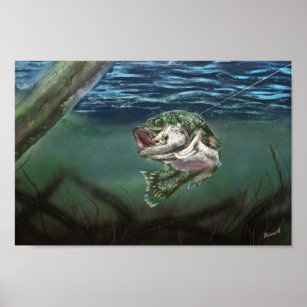 Largemouth Bass Posters & Prints