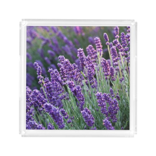 Luscious Lavender  Acrylic Tray