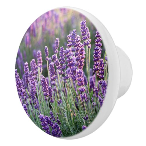 Luscious Lavender  Ceramic Knob