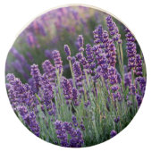 Luscious Lavender Chocolate Covered Oreo (Front)