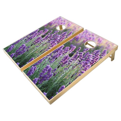 Luscious Lavender  Cornhole Set