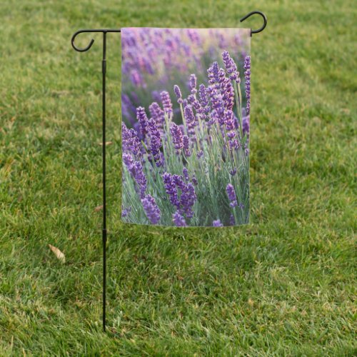 Luscious Lavender  Garden Flag