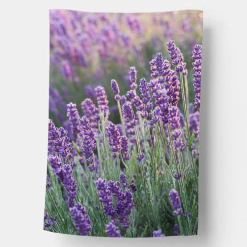 Luscious Lavender  House Flag