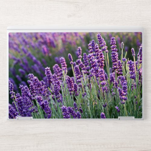 Luscious Lavender  HP Laptop Skin