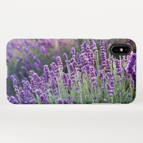 Luscious Lavender  iPhone XS Max Case