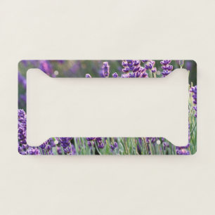 Luscious Lavender License Plate Frame