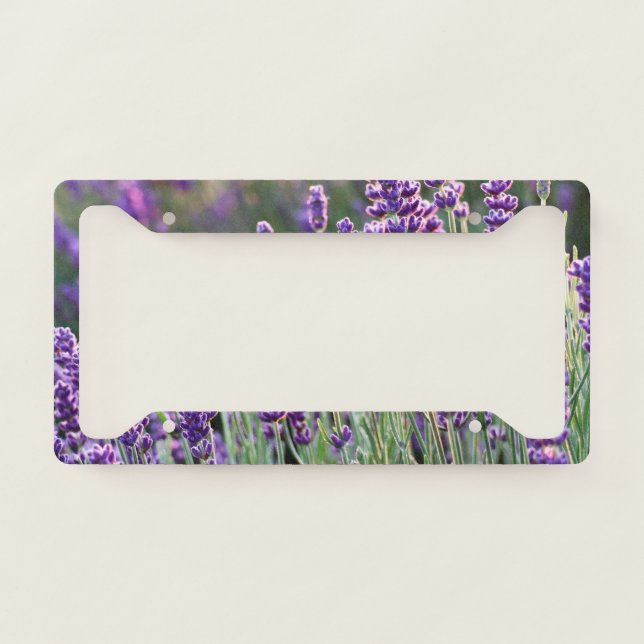 Luscious Lavender  License Plate Frame (Front)