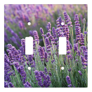 Luscious Lavender Light Switch Cover