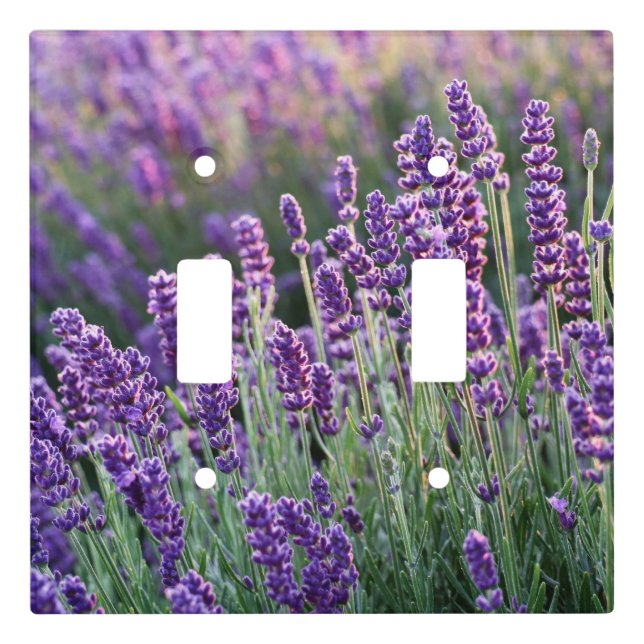 Luscious Lavender  Light Switch Cover (Front)