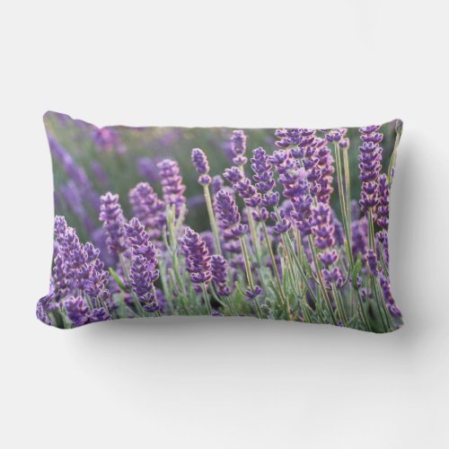 Luscious Lavender  Lumbar Pillow