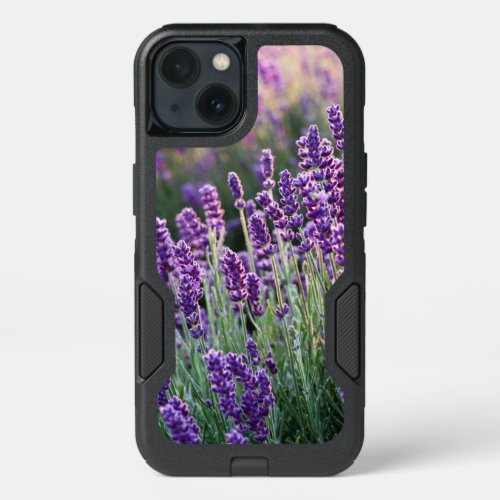 Luscious Lavender  iPhone 13 Case