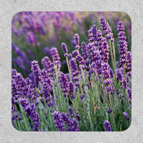 Luscious Lavender  Patch