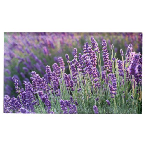 Luscious Lavender  Place Card Holder