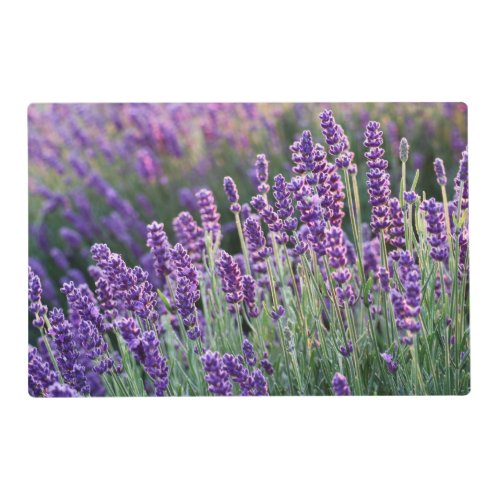 Luscious Lavender  Placemat