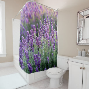 Luscious Lavender Shower Curtain