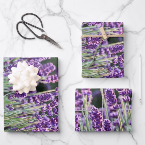 Luscious Lavender  Wrapping Paper Sheets