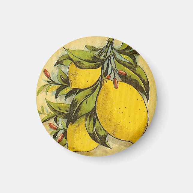 Luscious Lemons Magnet (Front)