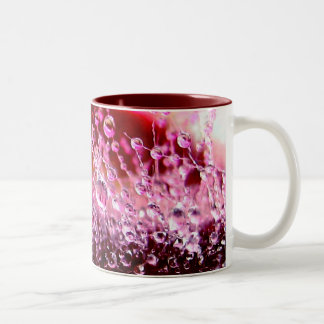 Luscious Mug