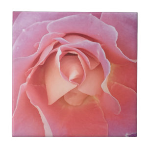 Luscious Pink Rose Ceramic Tile