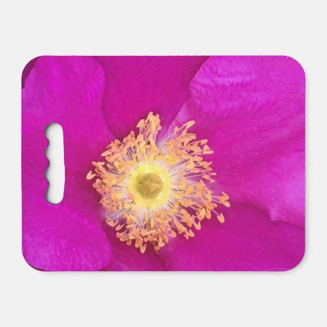 Luscious Pink Rose Kneeler Pad (Front Horizontal)
