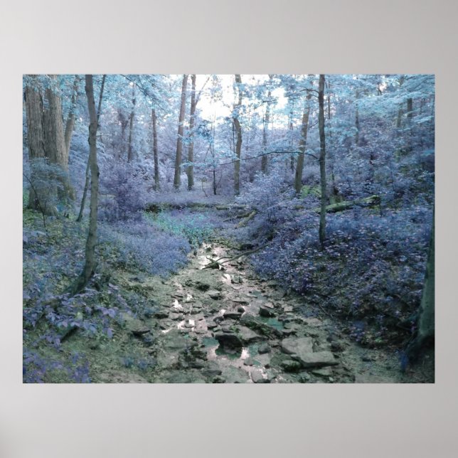 Lush Blue Poster (Front)