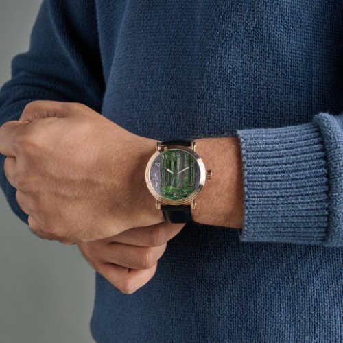 Lush Evergreen Conifer Forest Watch