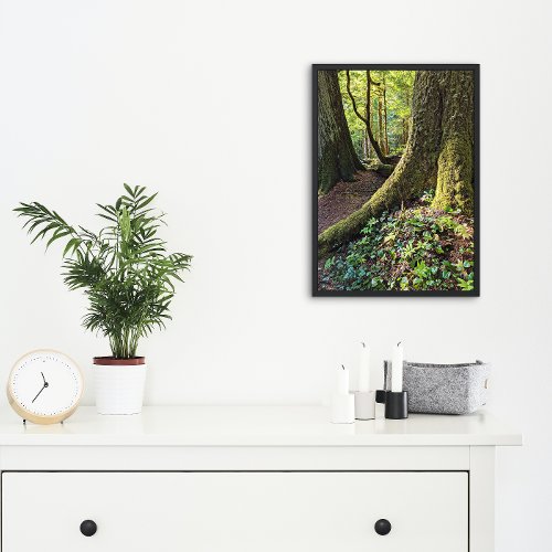 Lush Evergreen Forest Nature Photo Print