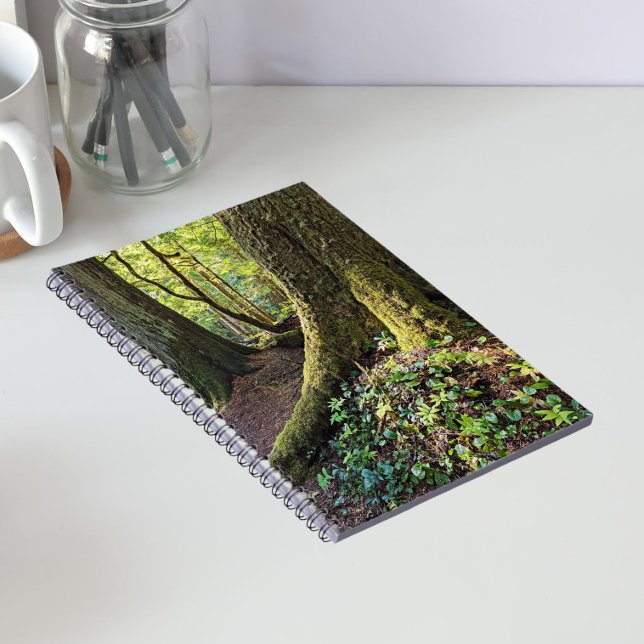 Lush Evergreen Forest Notebook (In Situ)