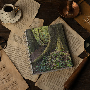 Lush Evergreen Forest Notebook