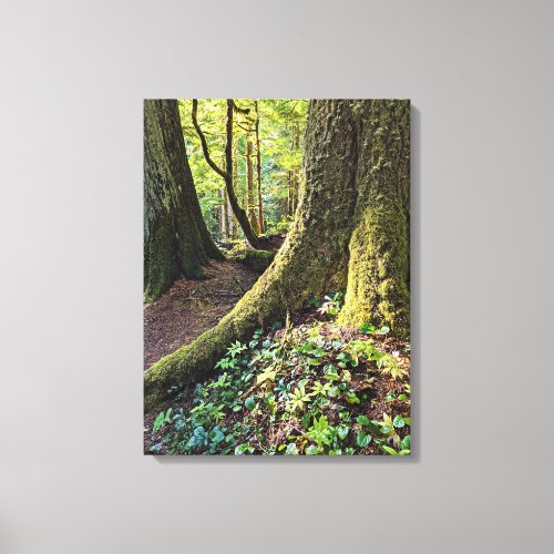 Lush Evergreen Forest Photographic Canvas Print