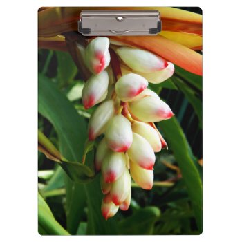 Lush Exotic Tropical Flower Clipboard by YANKAdesigns at Zazzle
