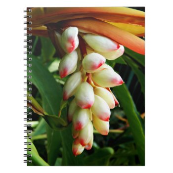 Lush Exotic Tropical Flower Notebook by YANKAdesigns at Zazzle