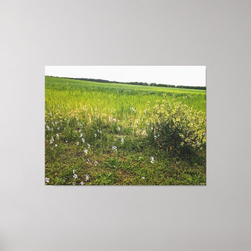 Lush Field with Wildflowers Canvas Print