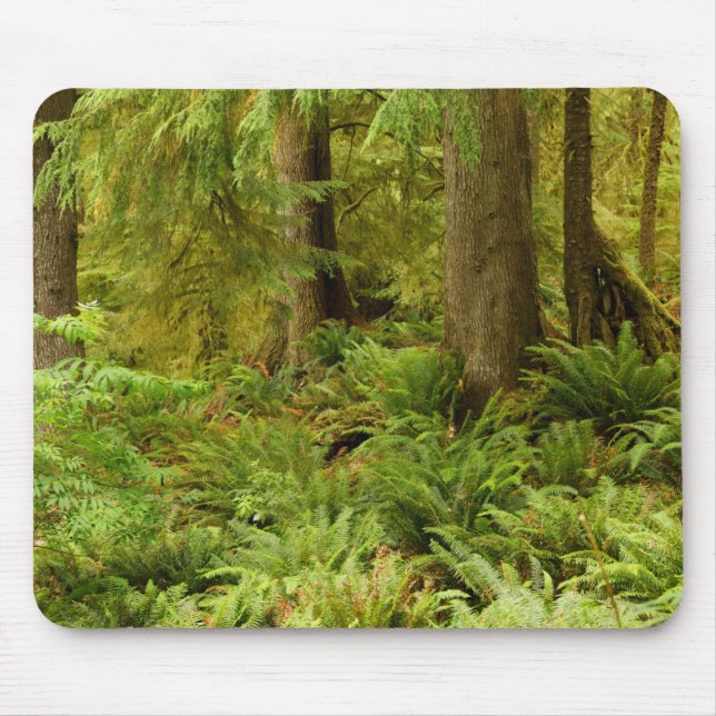 Lush Forest & Ferns | Ecola State Park, Oregon Mouse Pad (Front)