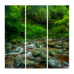 Lush Forest Stream Wall Art Irish River Triptych