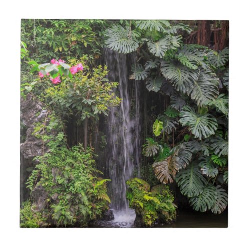Lush Garden Waterfall China Tile