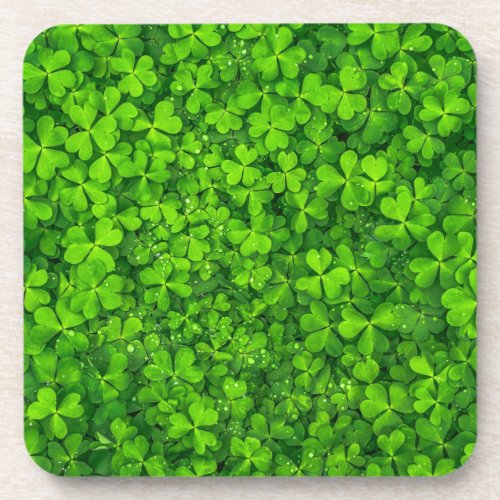 Lush Green Clovers with Water Drops Drink Coaster
