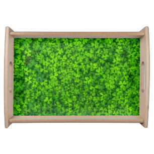 Lush Green Clovers with Water Drops Serving Tray