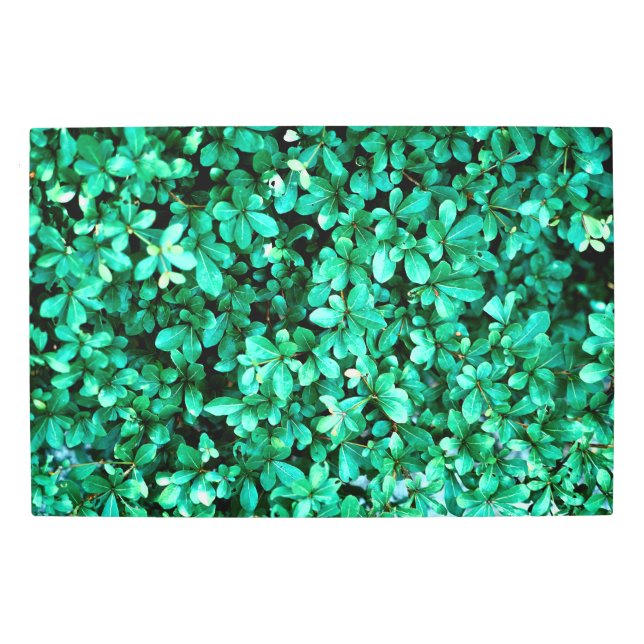 Lush Green Foliage with Vibrant Leaves Metal Print (Front)