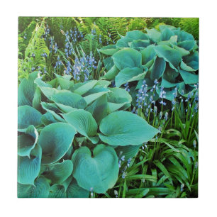 Lush green hosta and fern plant garden tile