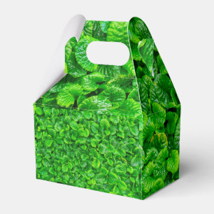 Lush Green Leaves Favor Boxes