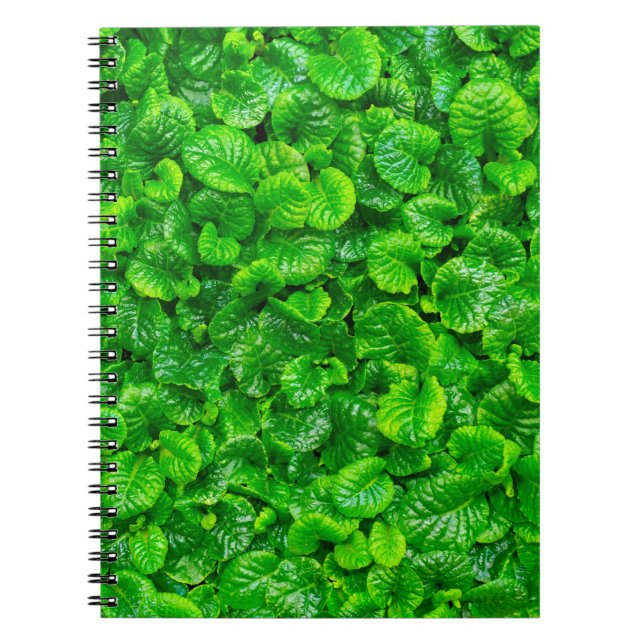 Lush Green Leaves  Notebook (Front)