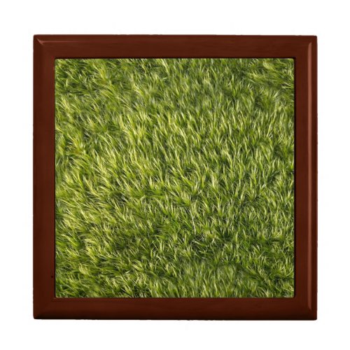 Lush Green Moss Gift Box